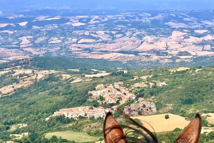 Monte Labro Horseback Ride: 2-Hour Private Trek with Maremma Views