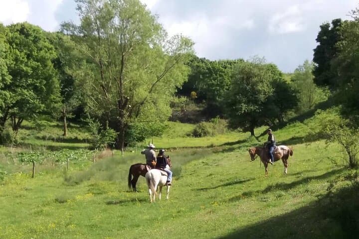 Monte Labro Horseback Ride: 2-Hour Private Trek with Maremma Views photo 3