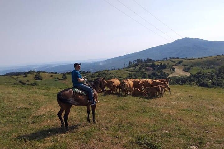 Monte Labro Horseback Ride: 2-Hour Private Trek with Maremma Views photo 5