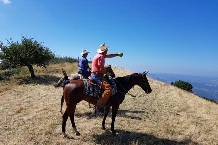 Monte Labro Horseback Ride: 2-Hour Private Trek with Maremma Views photo 6