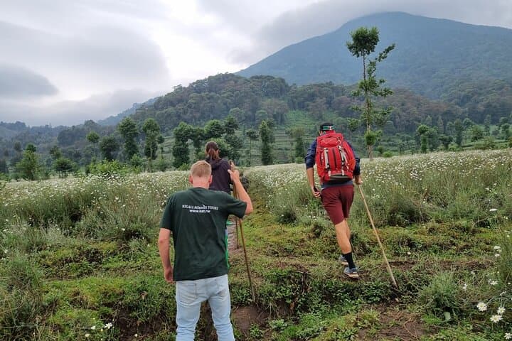 Full-Day Mt. Bisoke Hike: Volcano Trail in Rwanda's Virunga Range