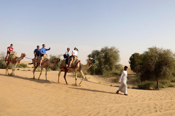 Morning Heritage Safari at Al Marmoom: Vintage G-Class, Camel Caravan & Bedouin Breakfast photo 4