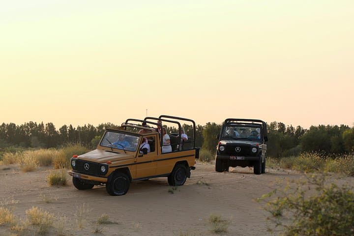Morning Heritage Safari at Al Marmoom: Vintage G-Class, Camel Caravan & Bedouin Breakfast photo 1
