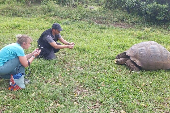 Galapagos Santa Cruz Explorer: 4-Day Wildlife, Lava Tunnels & Snorkel Adventure photo 6