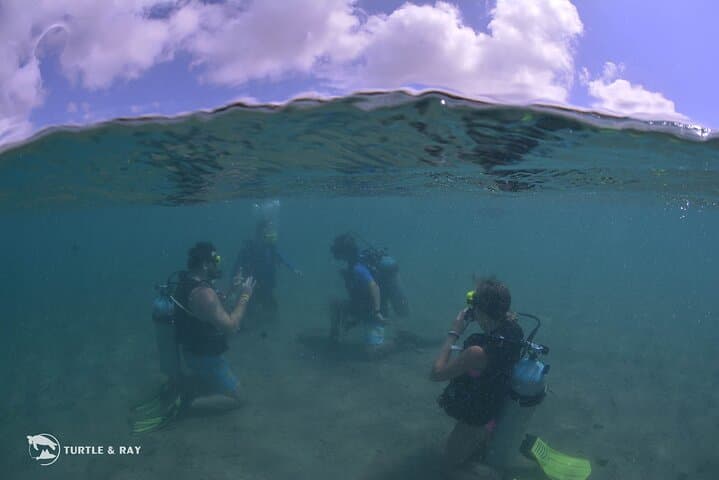 Curacao Refresher Dive: Rediscover the House Reef and Scuba Skills photo 2