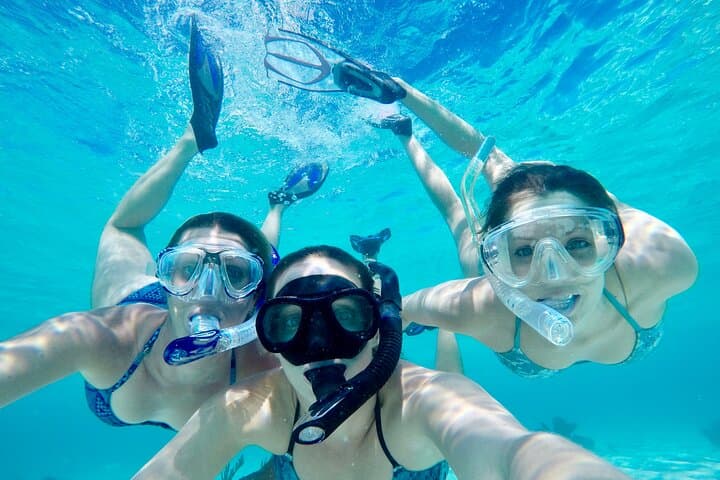 Islamorada Private 4-Hour Ecotour and Snorkel: Dolphins, Mangroves & Reefs