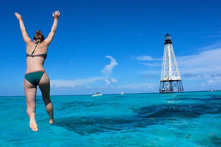 Islamorada Private 4-Hour Ecotour and Snorkel: Dolphins, Mangroves & Reefs photo 2