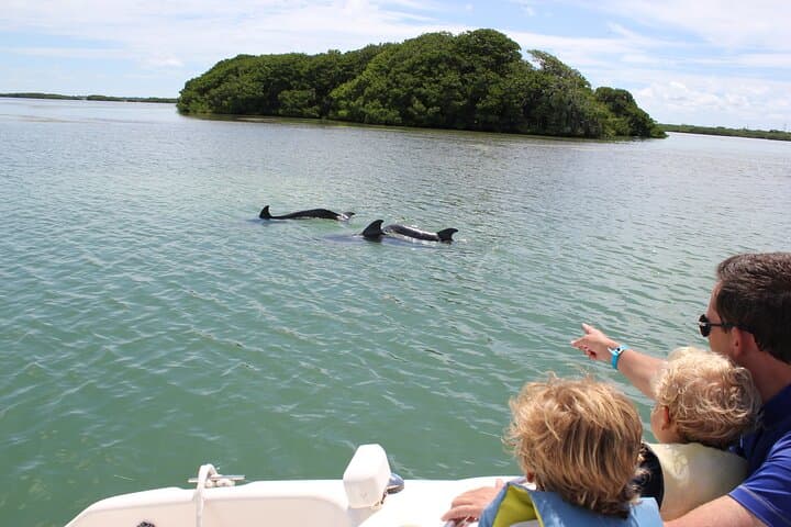 Islamorada Private 4-Hour Ecotour and Snorkel: Dolphins, Mangroves & Reefs photo 3