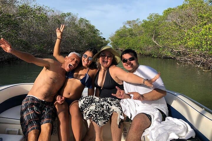 Islamorada Private Mangrove Ecotour: 2-Hour Wildlife Boat Tour photo 2