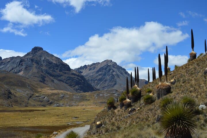 Pastoruri Glacier Day Trip: High-Altitude Hike to a Retreating Tropical Glacier photo 2