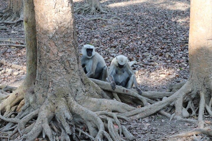 8-Day Private Nepal Highlights: Kathmandu, Chitwan & Pokhara photo 5