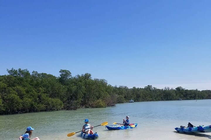 Kayak Big Hickory Pass: 2-Hour Single Kayak Rental & Wildlife Paddle photo 5