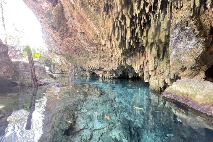 Private Tulum and Cenotes Tour: Tulum Ruins & Sac Actun Snorkeling photo 5