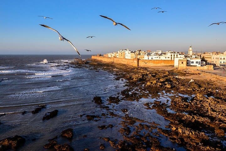 Private Essaouira Day Trip from Marrakech: Coastal Medina, Argan Coop & Fresh Seafood