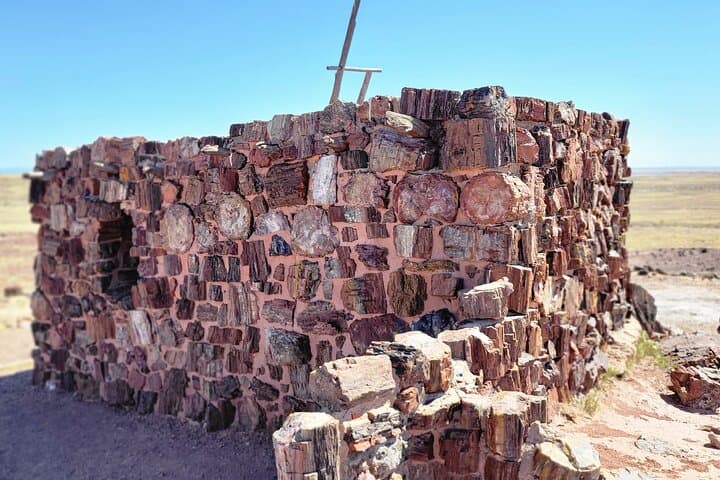 Sedona to Petrified Forest National Park: Private Painted Desert Day Tour