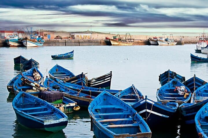 Private Essaouira Day Trip from Marrakech: Coastal Medina, Argan Coop & Fresh Seafood photo 6