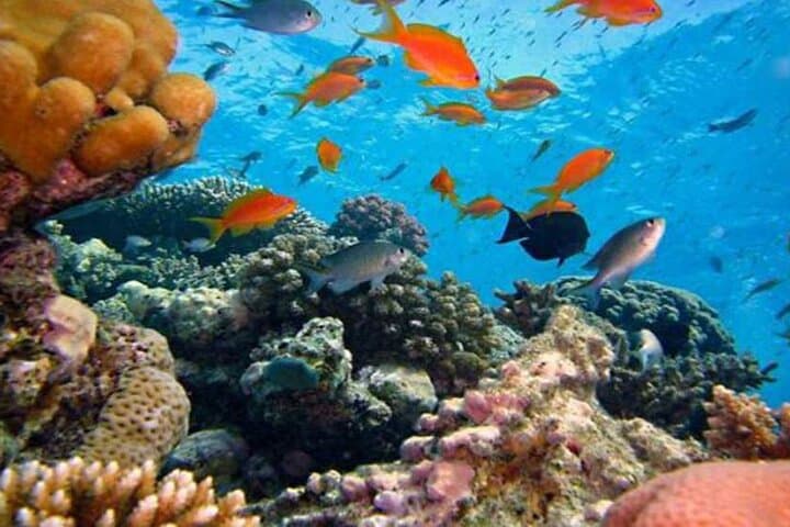 Barong Kris Dance & Blue Lagoon Snorkel: Full-Day Cultural and Reef Adventure in Bali photo 6