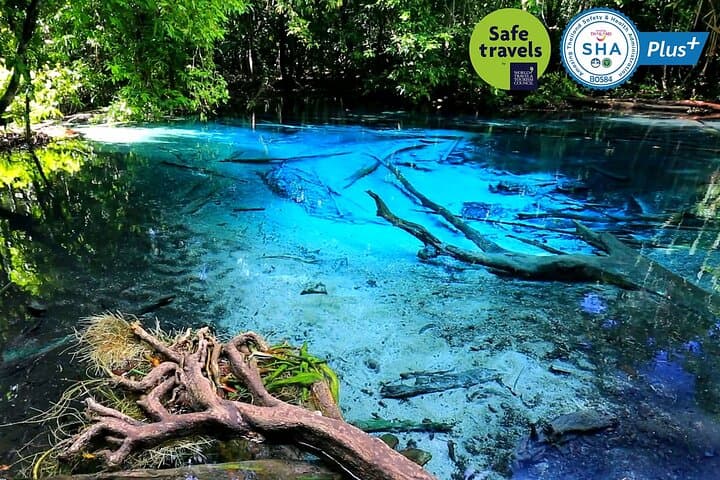Krabi Jungle Tour: Emerald Pool, Hot Spring Waterfall & Tiger Cave Temple