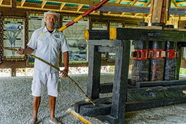 Punta Cana Countryside Tour: Sugarcane, Coffee & Macao Beach photo 3