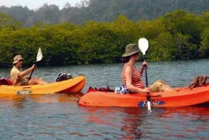 Kayak the Havelock Mangroves: Guided Kayaking & Birdwatching on Swaraj Dweep