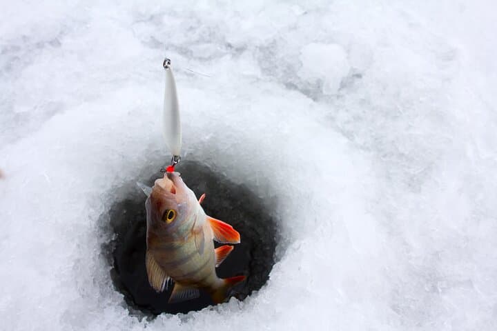 Lapland Ice Fishing from Rovaniemi: Arctic Lake Adventure & Campfire BBQ photo 3