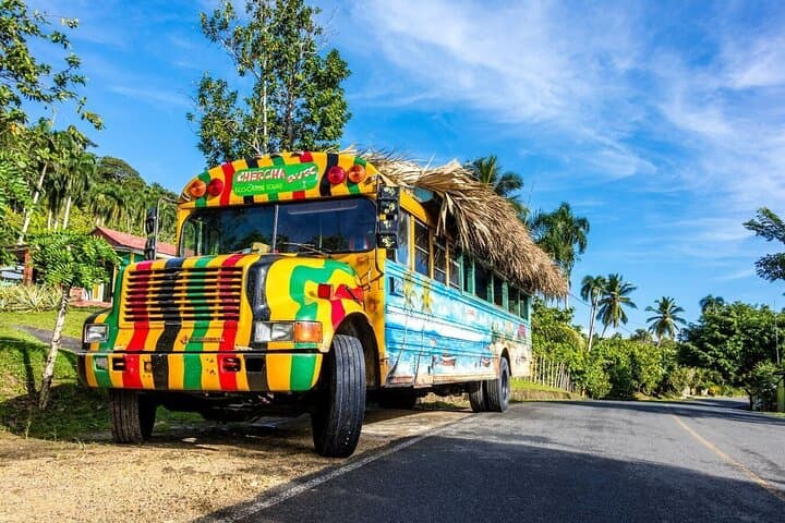 Punta Cana Day Trip: Countryside Culture, Altagracia Basilica & Beach Lunch