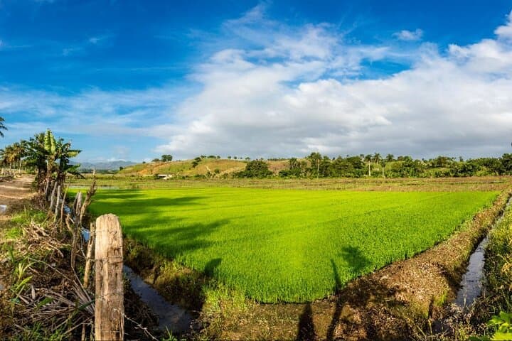 Punta Cana Day Trip: Countryside Culture, Altagracia Basilica & Beach Lunch photo 6
