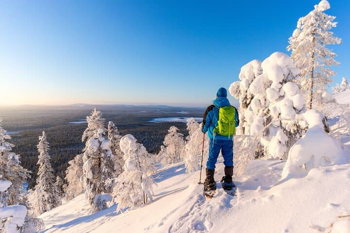 Lapland Winter Experience: Guided Snowshoe Hike from Rovaniemi