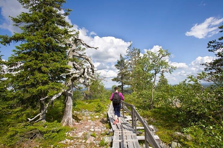 Dig for Amethyst at Luosto: Summer Mine Visit from Rovaniemi photo 2