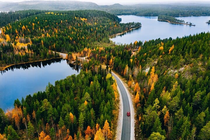 Taste of Lapland: Foraging, Fishing and Lakeside Sauna near Rovaniemi photo 2
