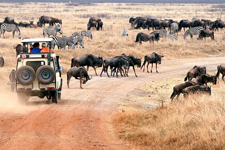 3-Day Safari: Tarangire, Ngorongoro Crater & Lake Manyara from Zanzibar photo 3
