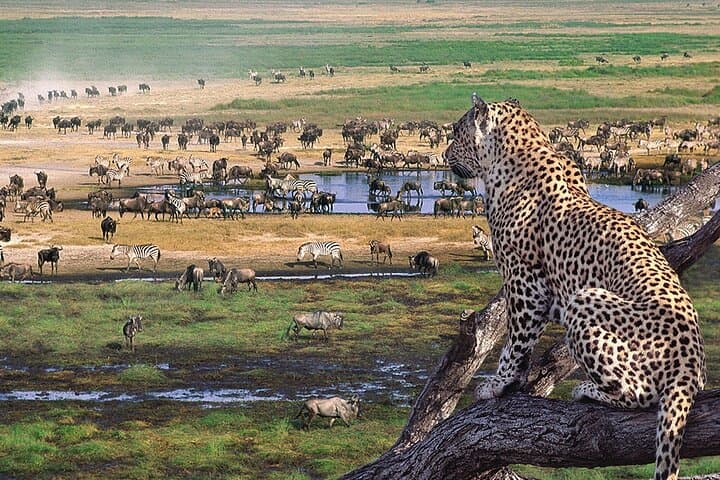 3-Day Safari: Tarangire, Ngorongoro Crater & Lake Manyara from Zanzibar photo 4