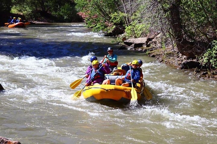 Half-Day Rafting on the Lower San Miguel River Near Telluride