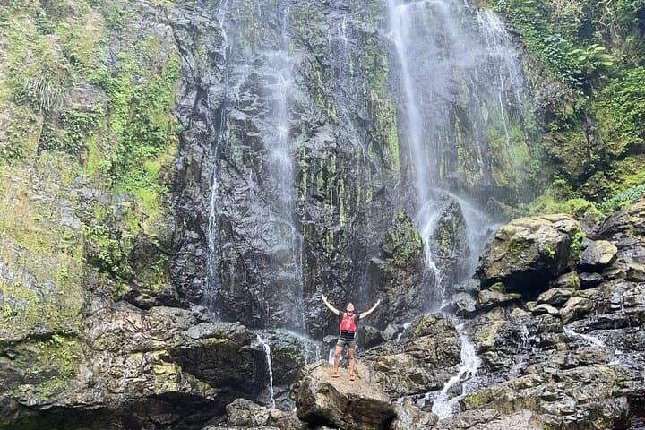 Rainforest Hike to Charco Prieto Waterfall — Hidden Waterfall Trek from San Juan photo 3