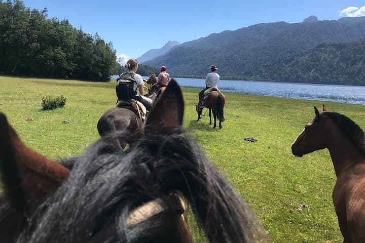 Full-Day Ride to Laguna Cayutue — Huasos-Style Horseback in Vicente Pérez Rosales