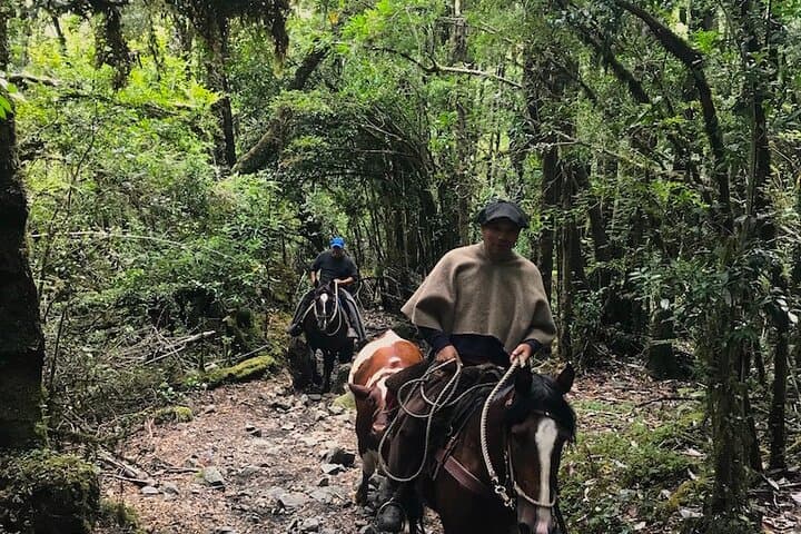 Full-Day Ride to Laguna Cayutue — Huasos-Style Horseback in Vicente Pérez Rosales photo 2
