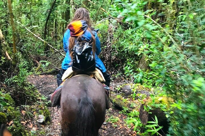 Full-Day Ride to Laguna Cayutue — Huasos-Style Horseback in Vicente Pérez Rosales photo 4