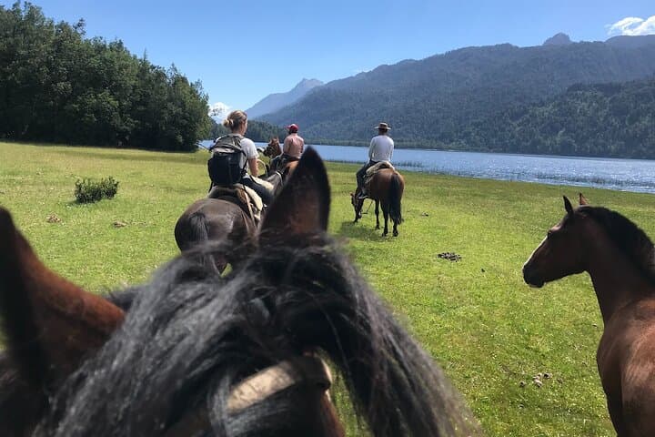 Full-Day Ride to Laguna Cayutue — Huasos-Style Horseback in Vicente Pérez Rosales photo 6