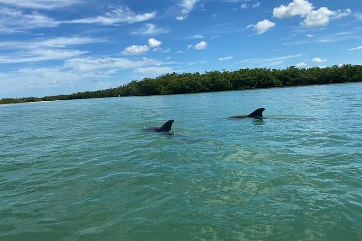 Paddle Big Hickory Pass: Private Kayak Tour Through Estero Bay Mangroves