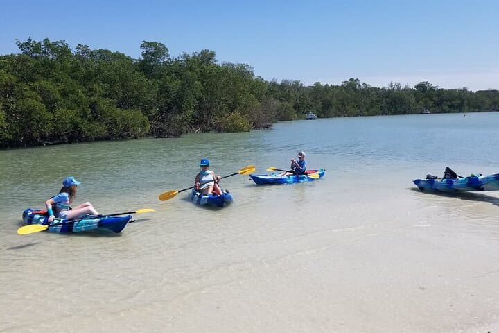 Paddle the Mangrove Tunnels: 2.5-Hour Kayak Tour on Big Hickory Pass photo 4