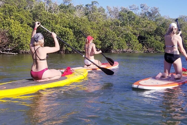 Paddle Big Hickory Pass: Private Kayak Tour Through Estero Bay Mangroves photo 4