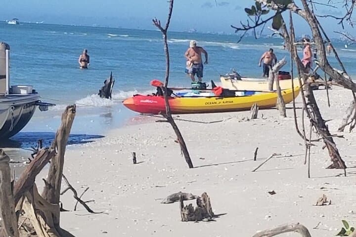 Paddle the Mangrove Tunnels: 2.5-Hour Kayak Tour on Big Hickory Pass photo 5