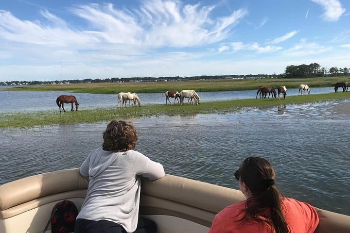 Grand Boat Tour Around Chincoteague and Assateague Islands photo 1