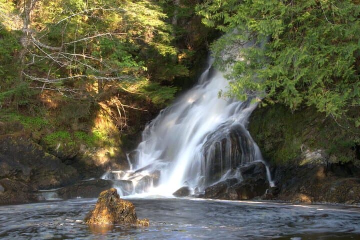 Private Ketchikan Tour: Totems, Wildlife & Waterfall — 3-Hour Custom Excursion photo 3