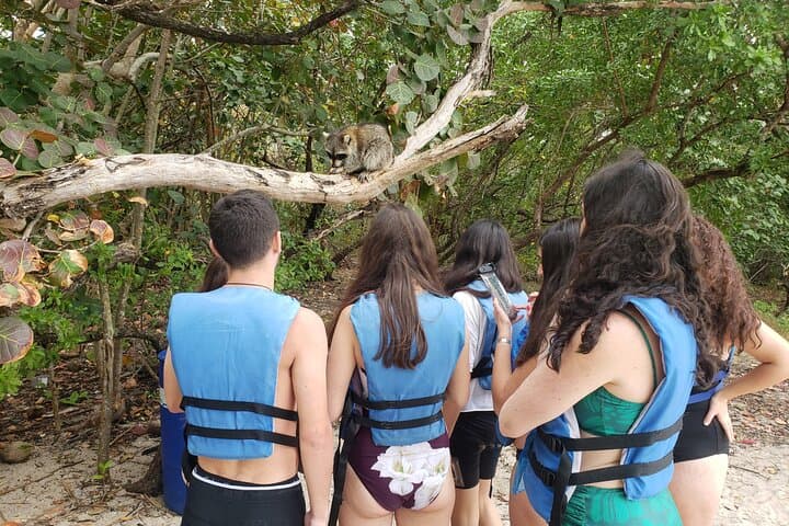 Paddle Mangrove Tunnels: SUP & Kayak Wildlife Tour in Miami photo 2