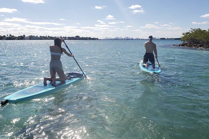 Paddle Mangrove Tunnels: SUP & Kayak Wildlife Tour in Miami photo 3