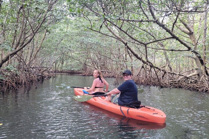 Paddle Mangrove Tunnels: SUP & Kayak Wildlife Tour in Miami photo 5
