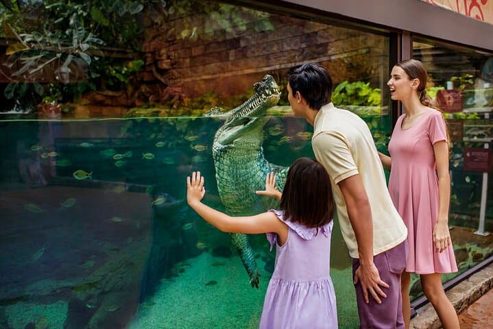 Singapore River Wonders Guide: Giant Panda Forest, Amazon Flooded Forest & Visitor Tips photo 5