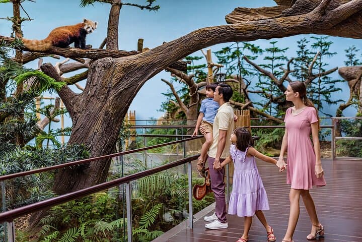 Singapore River Wonders Guide: Giant Panda Forest, Amazon Flooded Forest & Visitor Tips photo 3