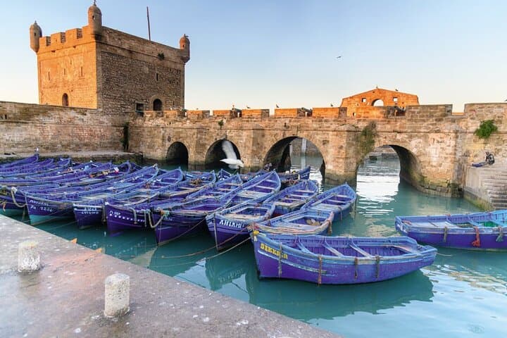 Essaouira Day Trip from Rabat — Full-Day Highlights, Argan Co-ops & Atlantic Views photo 6